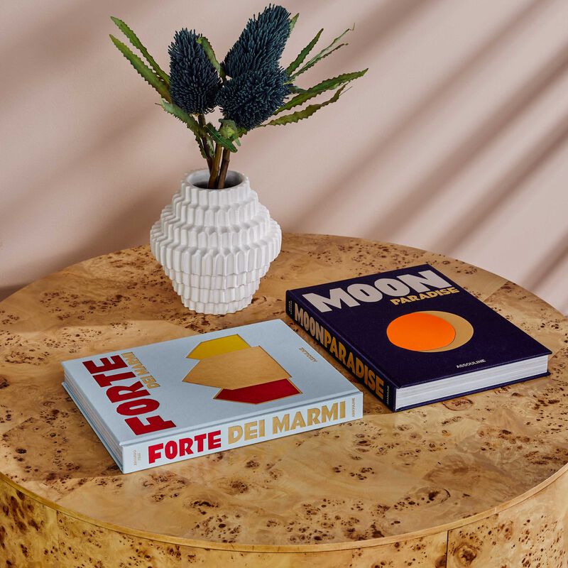 assouline moon paradise book 33x25cm