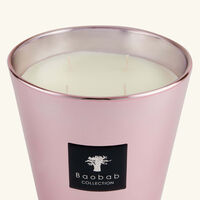 baobab collection roseum candle max 16