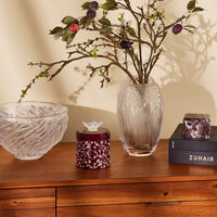 لاليك مزهرية بوتانيكا متوسطة شفافة