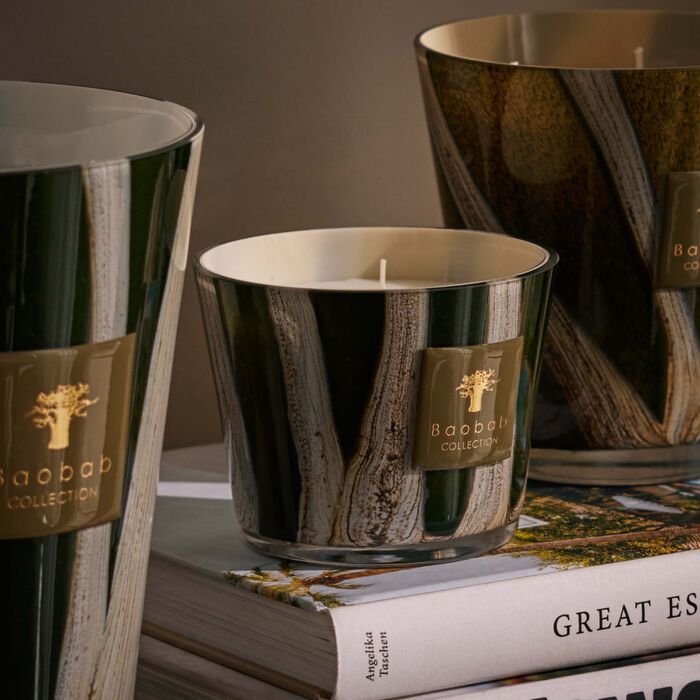 باوباب شمعة وودز شيروود المعطرة ماكس 10