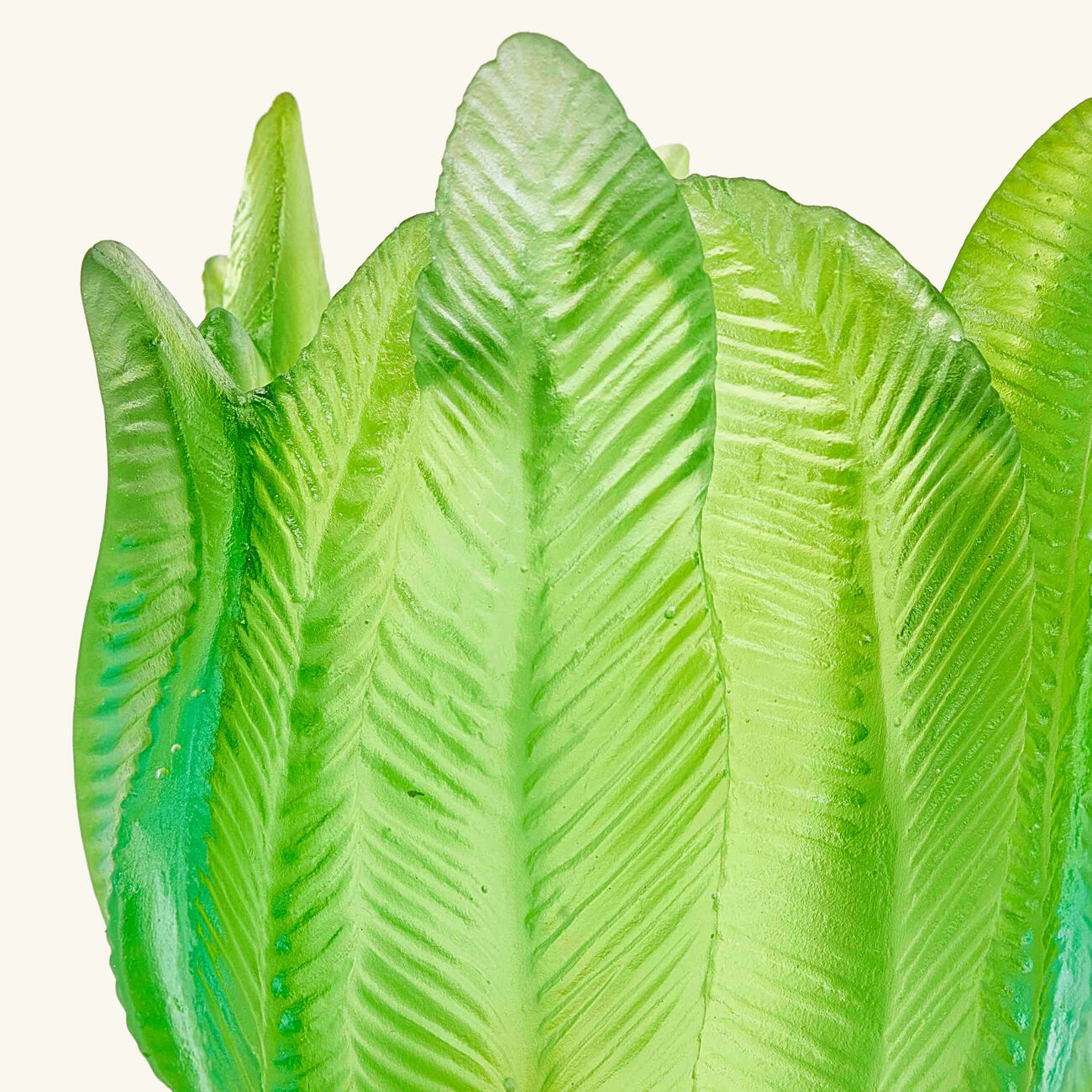 دوم مزهرية بالم بيتش صغيرة خضراء