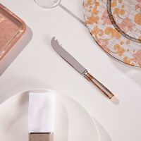 كريستوفل سكين الجبنة مالميزون باللون الفضي