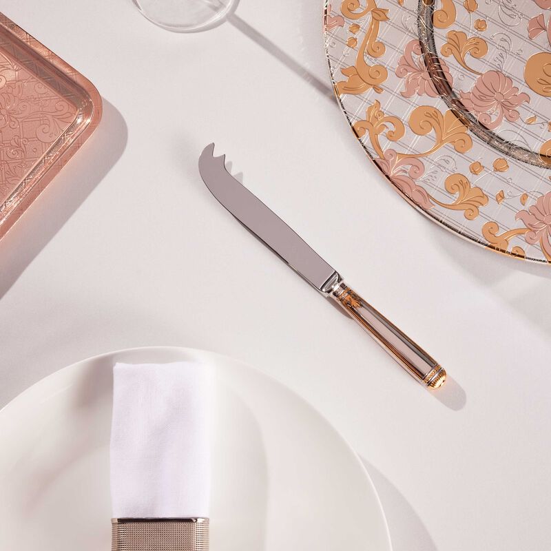 كريستوفل سكين الجبنة مالميزون باللون الفضي