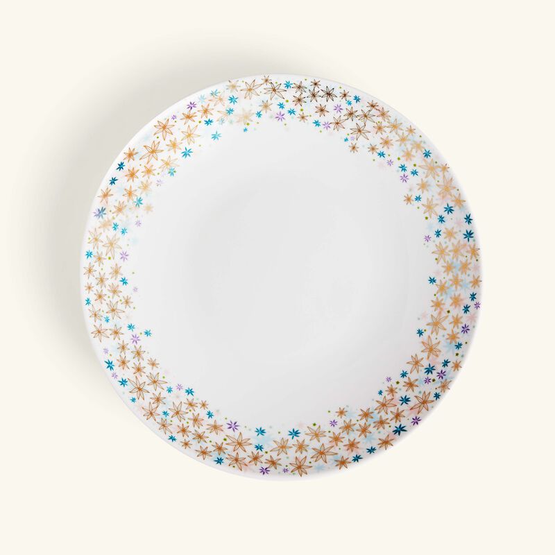 برناردو طبق فيري مايكل كايو العميق دائري وردي 29 سم