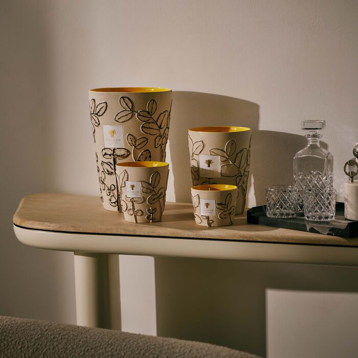 baobab collection folia calanque candle max 16