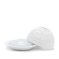 bernardaud daisies lithophanie