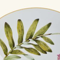 bernardaud jardin indien serving platter oval white 38cm