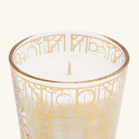 baobab collection my first baobab aurum gift box