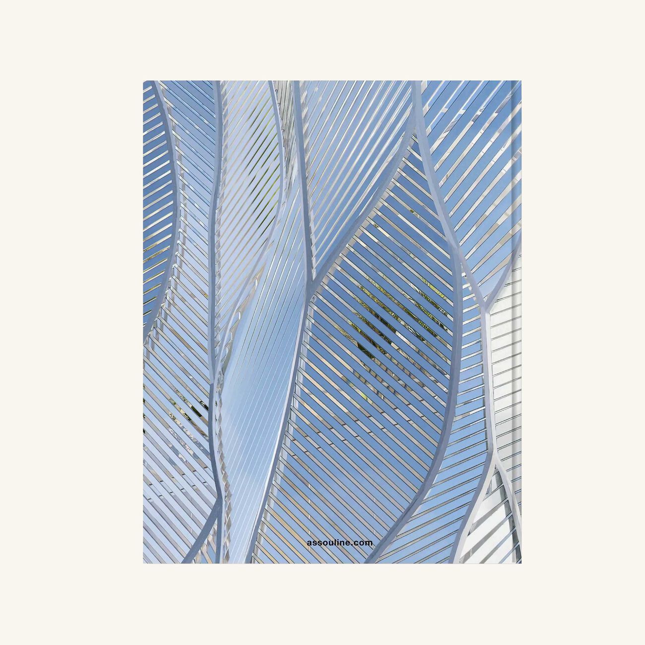 Louis Vuitton Skin Architecture of Luxury Beijing Edition Book 39x30cm assouline louis vuitton skin architecture of luxury beijing edition book 39x30cm