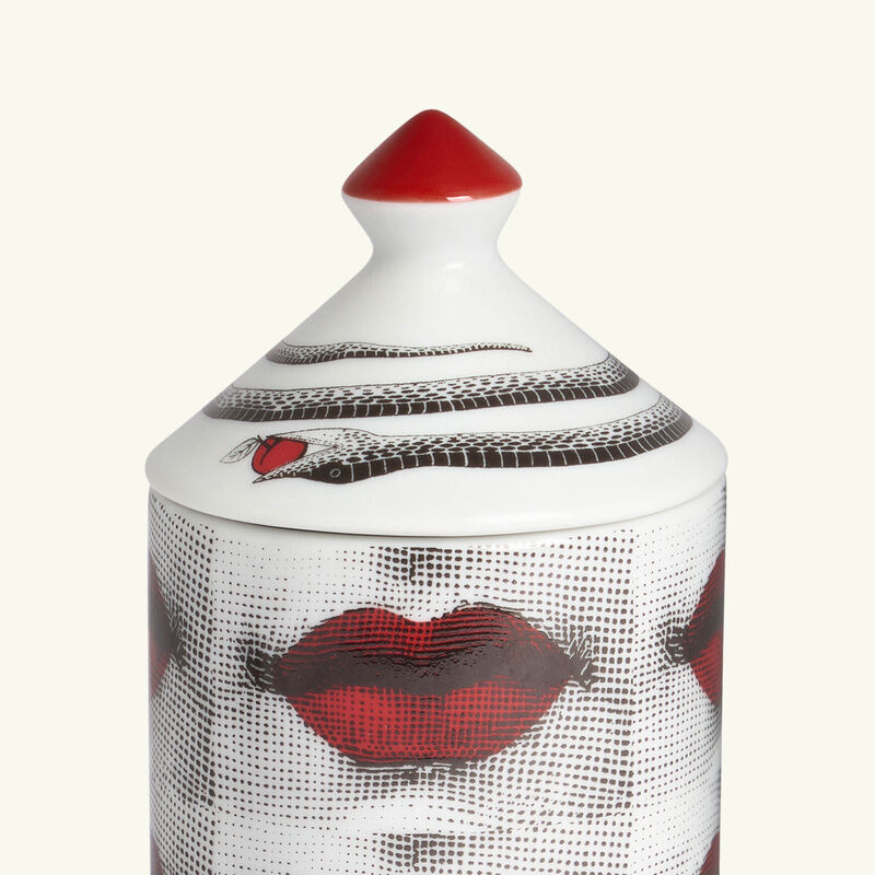 بخاخ العطر المنزلي فروتو برويبيتو 100 مل فورناسيتي بخاخ العطر المنزلي فروتو برويبيتو 100 مل