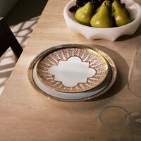 haviland cavalier royal dinner plate round 28cm set of 2