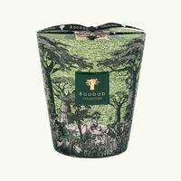 baobab collection sacred trees touba candle max 16
