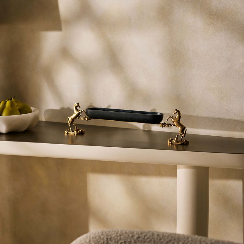 إيرا أودايبور صينية التمور أشوا ريجال