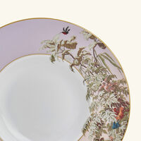 Le Brésil Soup Plate 28cm haviland le br sil soup plate 28cm