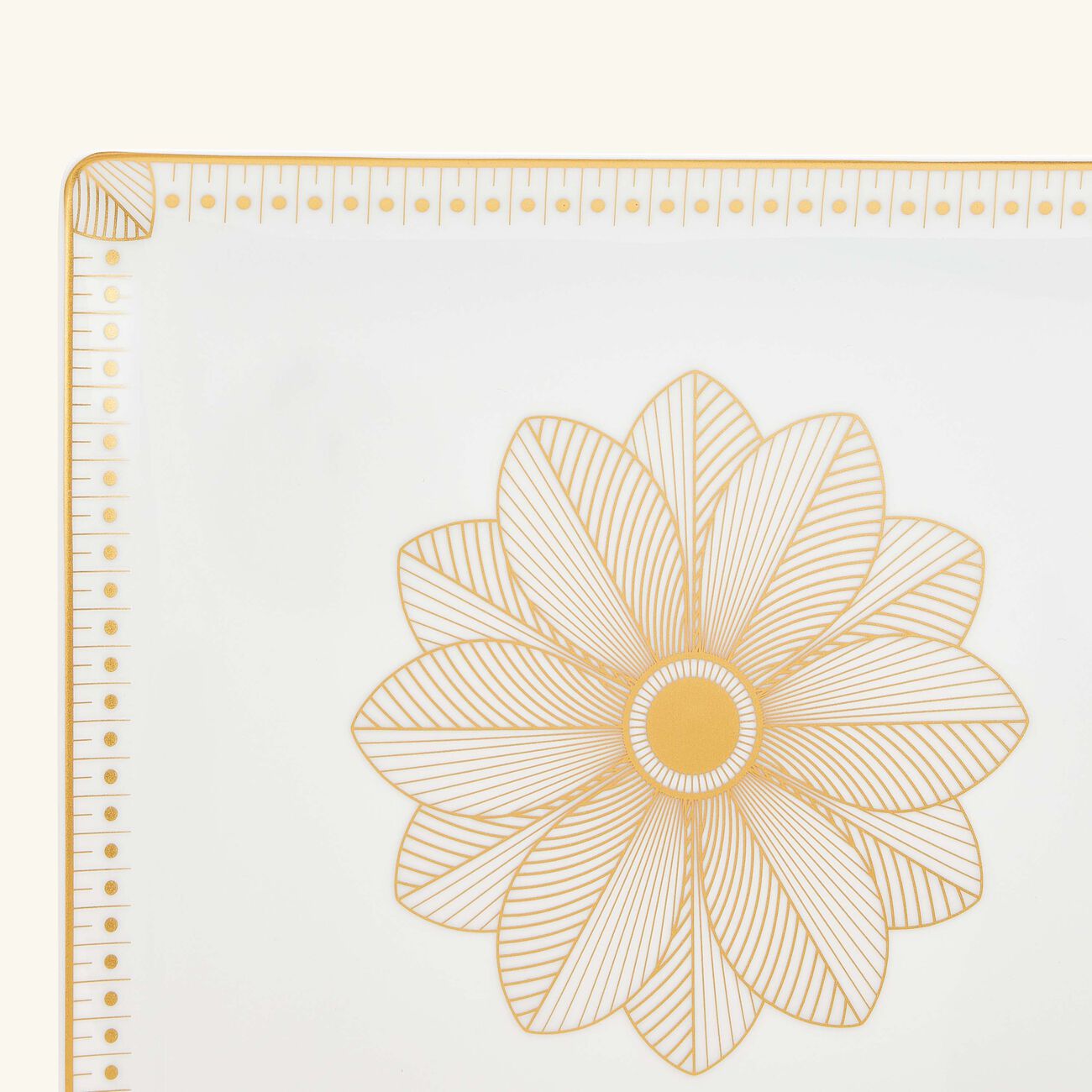 كريستوفل صينية مالميزون إمبيريال مستطيلة مطلية بالذهب قياس 22   19