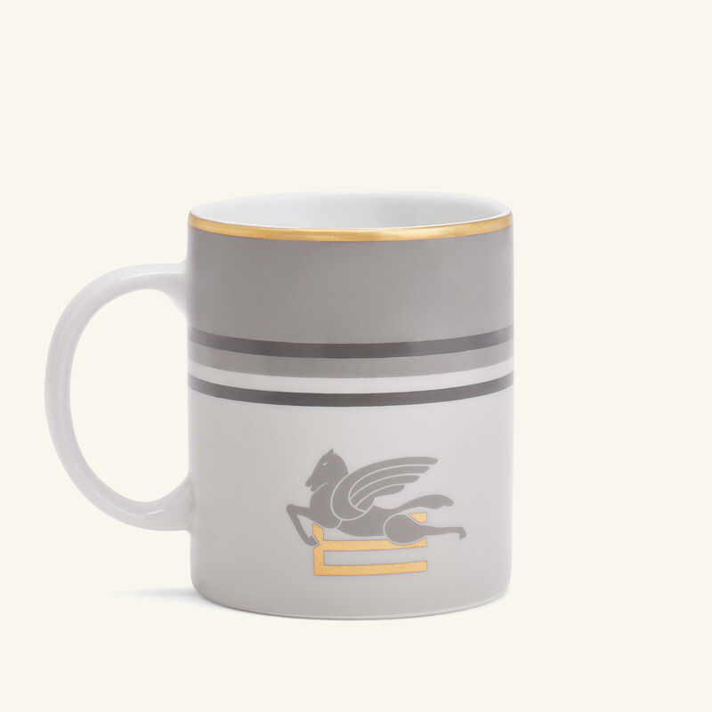 إيترو كوب بيجاسو رمادي