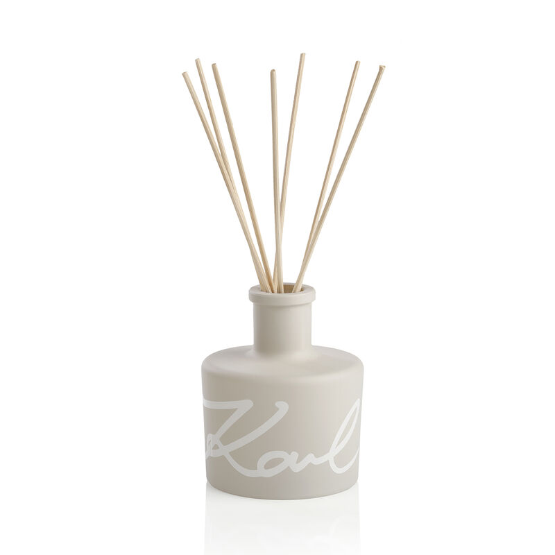 Bois Epicé Reed Diffuser With Natural Sticks, large