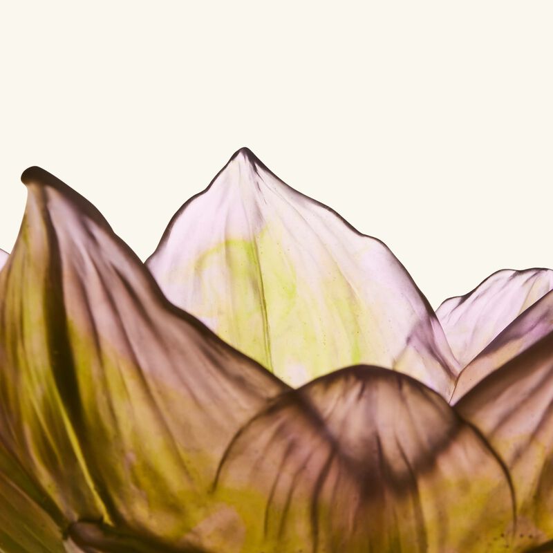 daum jardin de lotus vase large