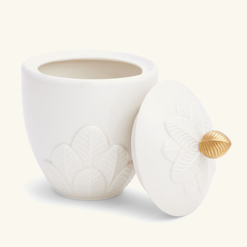 فيلاري سكرية بيكوك بيضاء