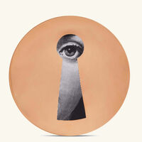 fornasetti tema e variazioni no 14 wall plate gold