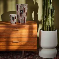 باوباب شمعة ماكسي واكس بانيا ماكسي ماكس