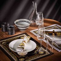 طقم ميدوزا جالا المؤلف من منديلين للمائدة ومفرشين للأطباق فيرساتشي طقم ميدوزا جالا المؤلف من منديلين للمائدة ومفرشين للأطباق