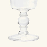 ira udaipur hana drinking glass clear