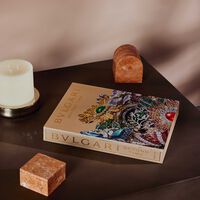 كتاب بولغري: ما وراء الزمن 8x30 سم آسولين كتاب بولغري ما وراء الزمن 8x30 سم