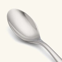 l ame de christofle table spoon stainless steel