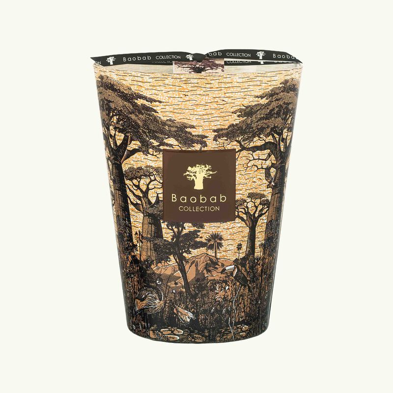baobab collection sacred trees mankono candle max 24