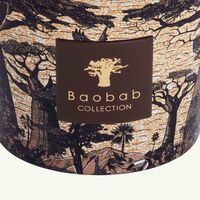 Sacred Trees Mankono Candle Max 10 baobab collection sacred trees mankono candle max 10