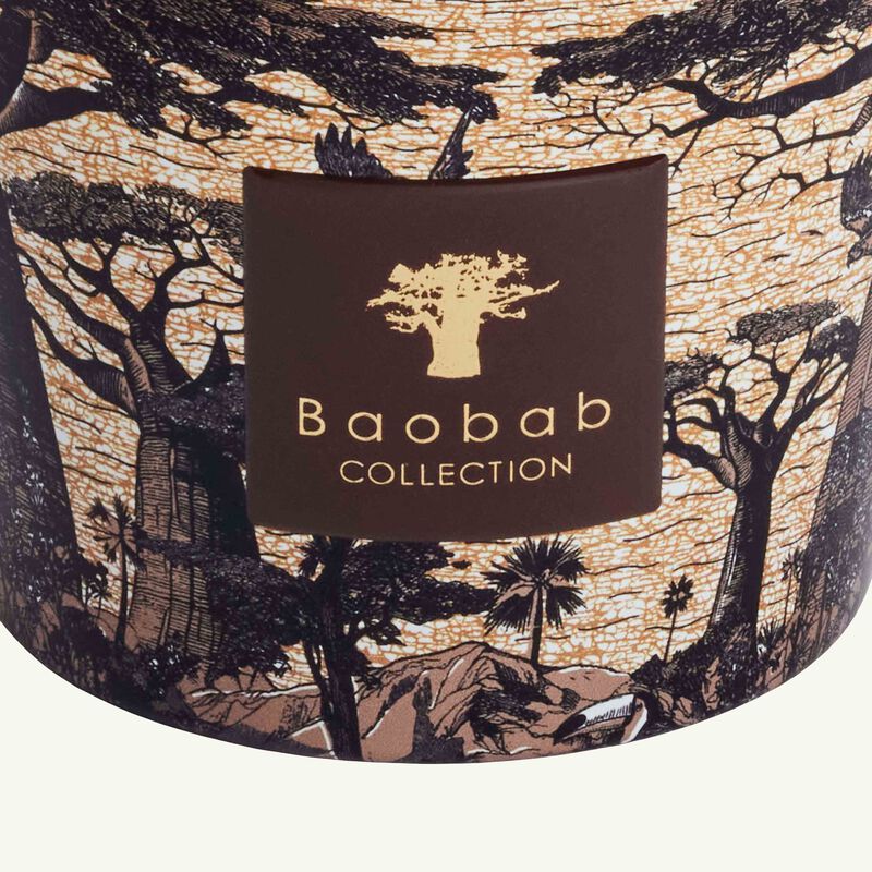Sacred Trees Mankono Candle Max 10 baobab collection sacred trees mankono candle max 10