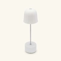 bernardaud campanule cordouan lamp