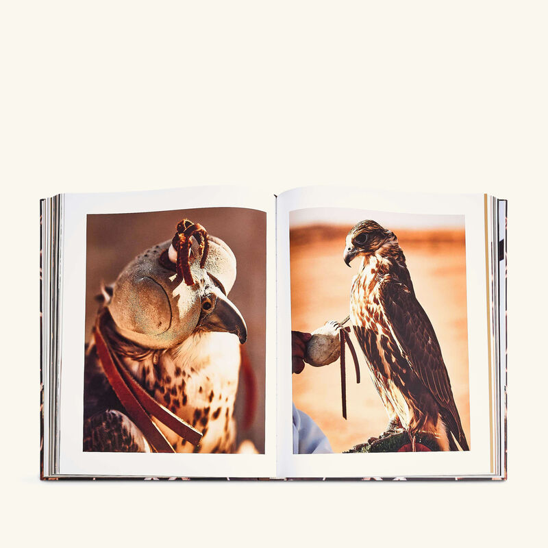 كتاب صقور المملكة العربية السعودية 48x39 سم آسولين كتاب صقور المملكة العربية السعودية 48x39 سم