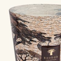 baobab collection sacred trees mankono candle max 35