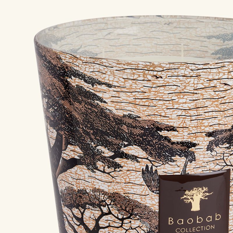 baobab collection sacred trees mankono candle max 35