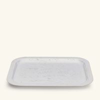 كريستوفل صينية الضيافة جرافيتي مستطيلة متوسطة مطلية بالفضة