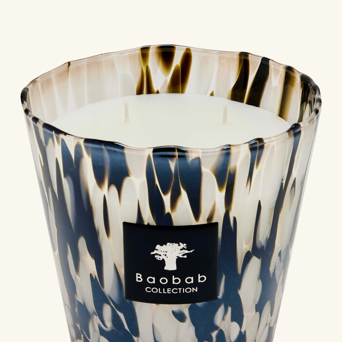 baobab collection pearls black candle max 16