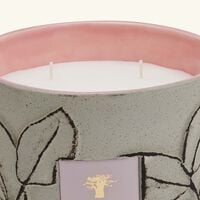 شمعة فوليا ماكي ماكس 16 باوباب شمعة فوليا ماكي ماكس 16