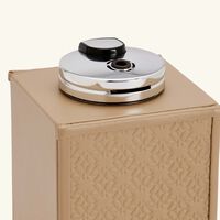 جيوبانيارا ولاعة إيلي صعب مونوغرام موتون