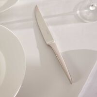 سكين الستيك لام دو كريستوفل من الستانلس ستيل