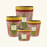 Ravintsara Hanitra Candle Max 10 baobab collection ravintsara hanitra candle max 10