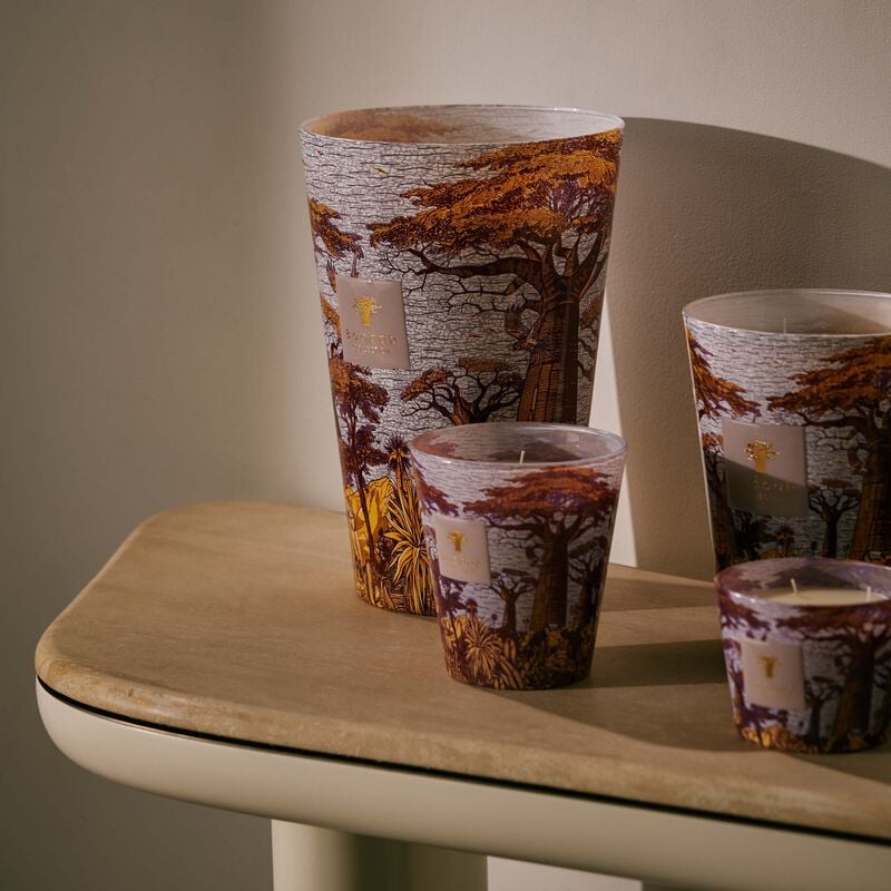 شمعة سيكرد تريز ماساسو ماكس 35 باوباب شمعة سيكرد تريز ماساسو ماكس 35