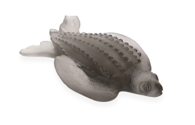 

Daum Tortue Leatherback Turtle