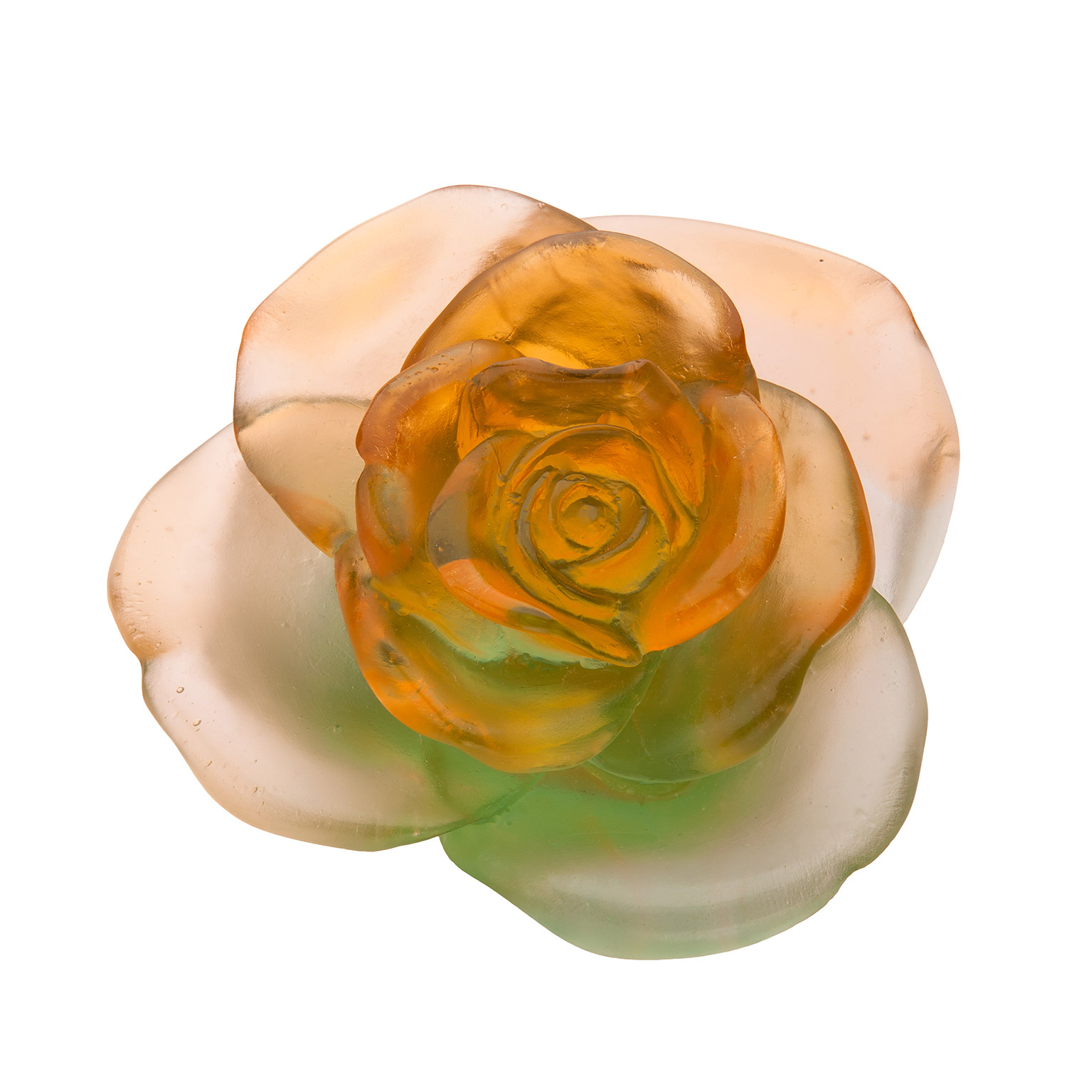 

Rose Passion Green & Orange Flower